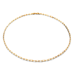 Silver Volt Necklace Gold Plated