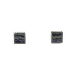 Silver Blue John Stud Earrings